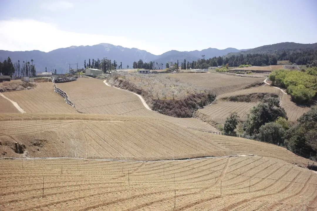 2026年Q1电子元器件市场行情综述：功率半导体与MLCC供需动向